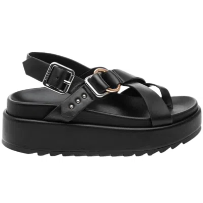 Shop J/slides Solara Sandal In Black Leather