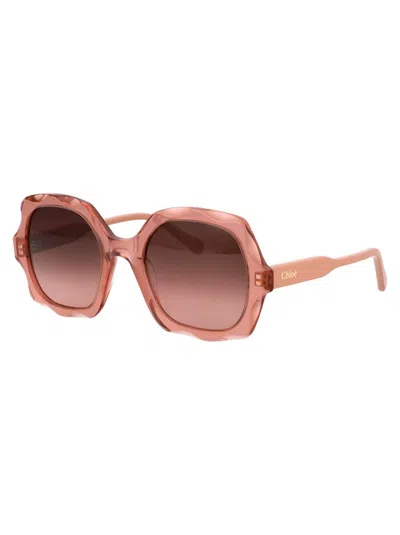 Shop Chloé Chloe Sunglasses In 003 Brown Pink Copper