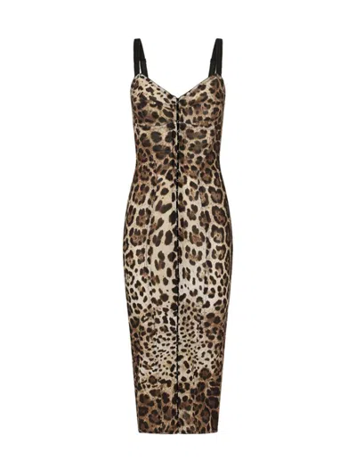 Shop Dolce & Gabbana Dresses Brown In Marrone
