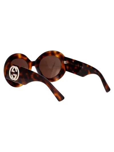 Shop Gucci Sunglasses In 009 Havana Havana Brown