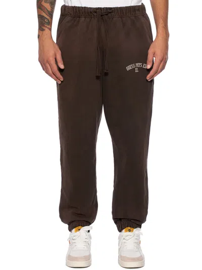 Shop Guess Pants In Brown