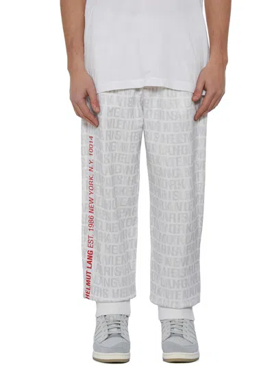 Shop Helmut Lang Pants In Gray