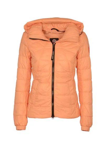 Shop Canada Goose Jackets In Daylily