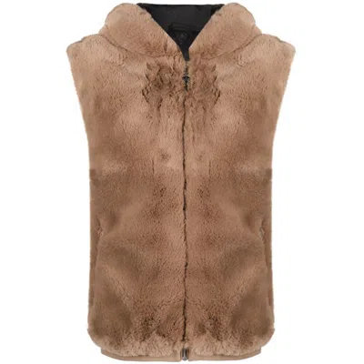 Shop Moose Knuckles Waistcoats In Brown