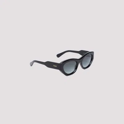 Shop Chloé Dark Havana Ch0220s Sunglasses In Black