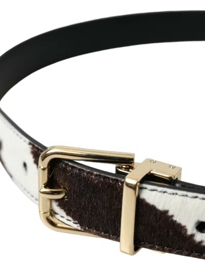Shop Dolce & Gabbana Brown White Zebra Pony Hair Gold Buckle Women's Belt