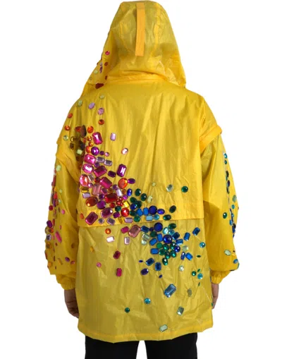 Shop Dolce & Gabbana Yellow Crystal Embellished Hooded Men's Jacket