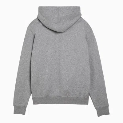 Shop Ami Alexandre Mattiussi Ami Paris Ami De Coeur Grey Sweatshirt Hoodie Men In Gray