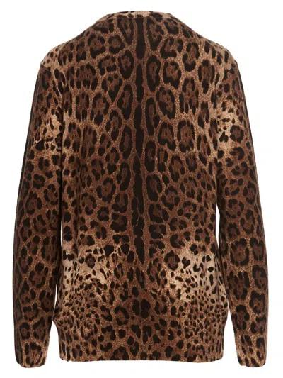 Shop Dolce & Gabbana Sweaters In Leo New
