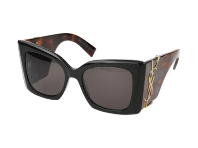 Shop Saint Laurent Sunglasses In 003 Black Havana Black