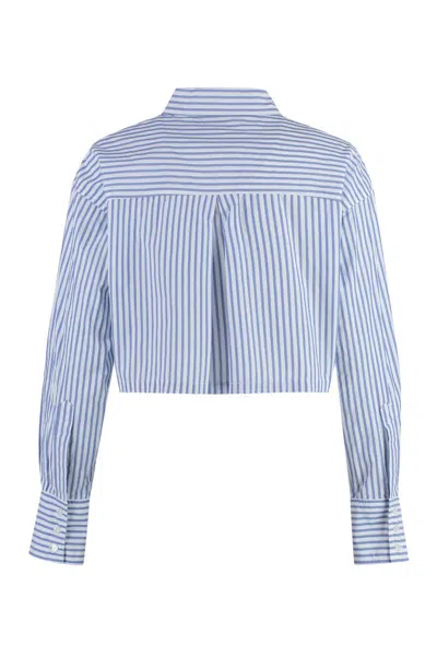 Shop Pinko Pergusa Cotton Shirt In Blue