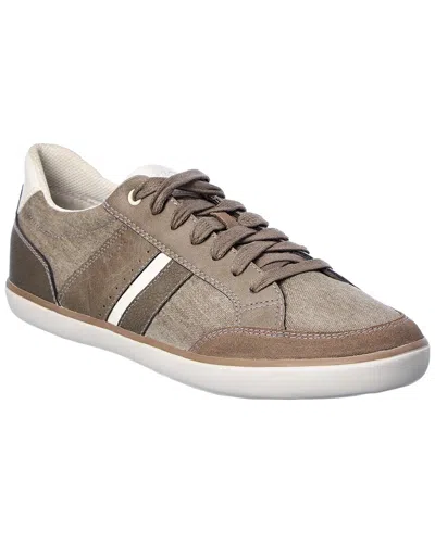 Shop Geox Elver Sneaker In Grey