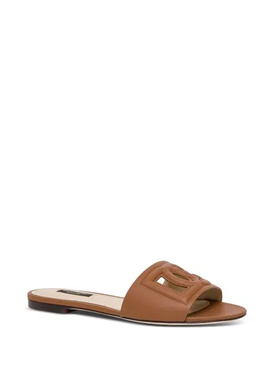 Shop Dolce & Gabbana Flat Tahiti Sandals With Logo In Brown