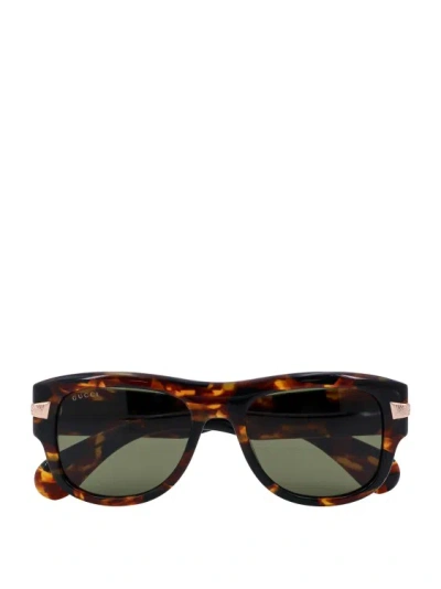 Shop Gucci Acetate Sunglasses In Brown