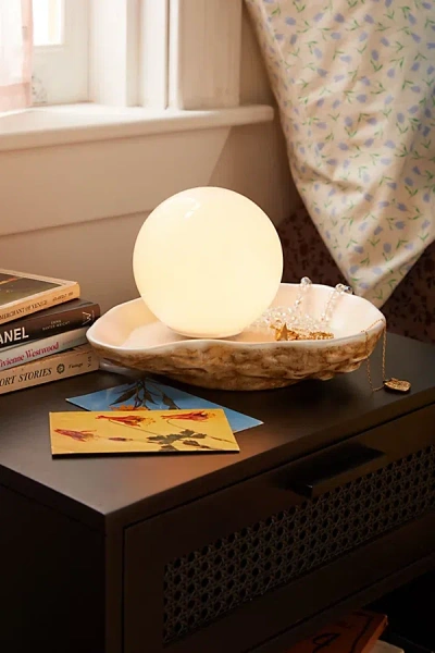 Shop Urban Outfitters Oyster Table Lamp In Ivory At