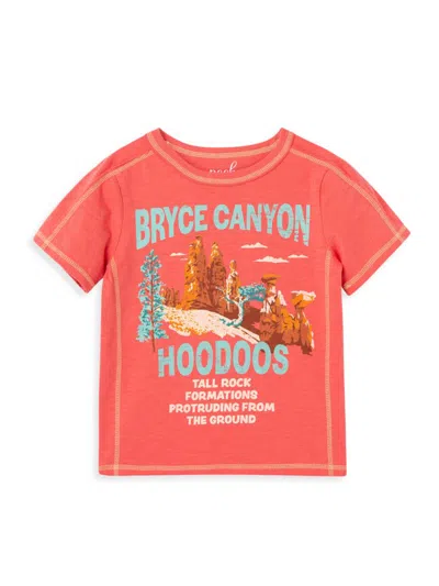 Shop Peek Little Boy's & Boy's Bryce Canyon Tee In Coral