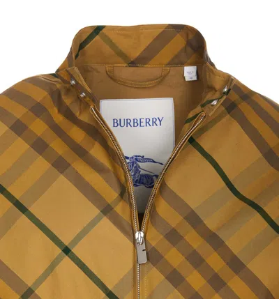 Shop Burberry Jackets In Yellow