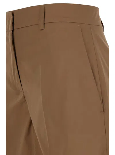 Shop Plain Brown Shorts With Belt Loops In Cotton Woman In Beige