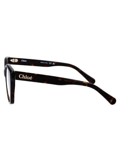 Shop Chloé Ch0241o Glasses In 002 Havana Havana Transparent