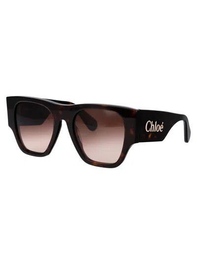 Shop Chloé Ch0233s Sunglasses In 002 Havana Havana Brown