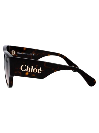 Shop Chloé Ch0233s Sunglasses In 002 Havana Havana Brown