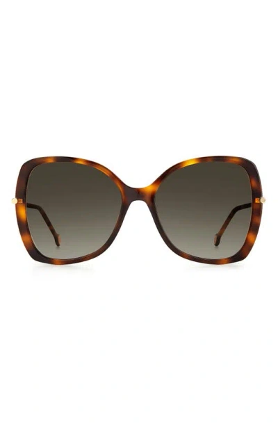 Shop Carolina Herrera 55mm Gradient Square Sunglasses In Havana/ Brown Gradient