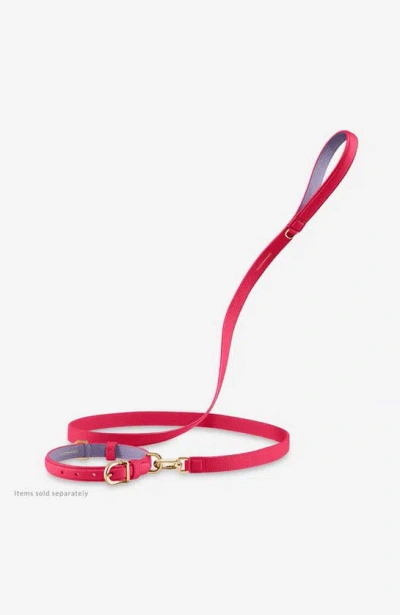 Shop Maison De Sabre Leather Dog Leash In Fuchsia Lavender