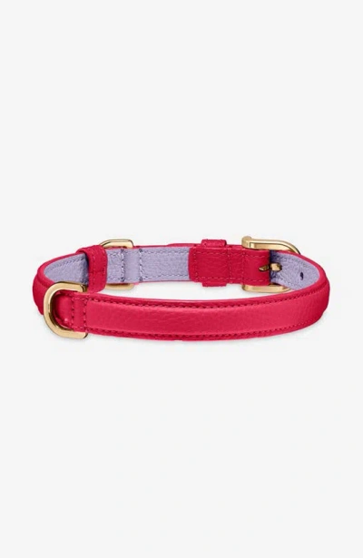 Shop Maison De Sabre Leather Dog Collar In Fuchsia Lavender
