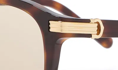 Cartier 51mm Round Sunglasses In Havana
