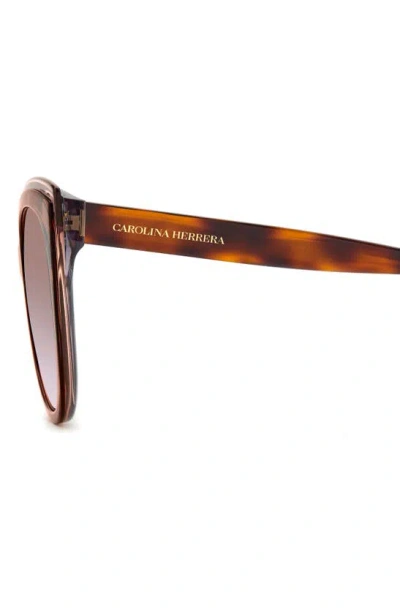 Shop Carolina Herrera 57mm Gradient Round Cat Eye Sunglasses In Havana/ Grey Shaded Pink