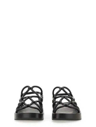 Shop Ash Venus Sandal. In Black