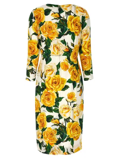Shop Dolce & Gabbana 'rose Gialle' Midi Dress In Multicolor