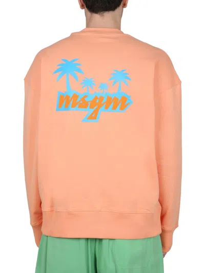 Shop Msgm Crewneck Sweatshirt With Logo In Orange