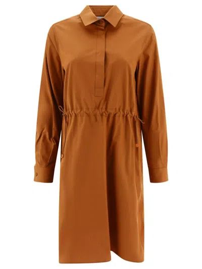 Shop Max Mara "juanita" Shirt Dress In Brown