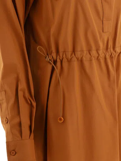 Shop Max Mara "juanita" Shirt Dress In Brown