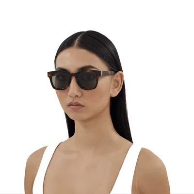 Shop Saint Laurent Eyewear Sunglasses In Havana