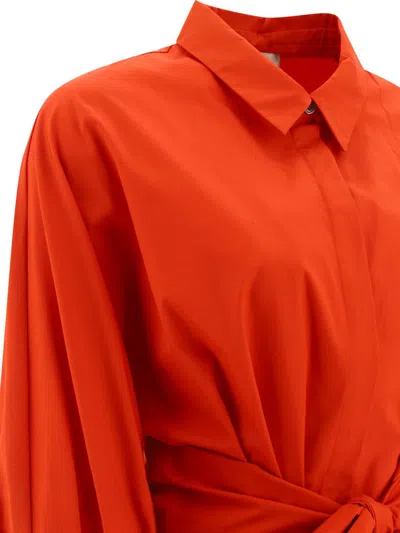 Shop 's Max Mara "tabata" Poplin Shirt Dress In Orange