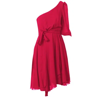 Shop Pinko Fuchsia Polyester Dress
