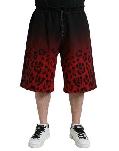 Shop Dolce & Gabbana Red Leopard Print Cotton Bermuda Shorts