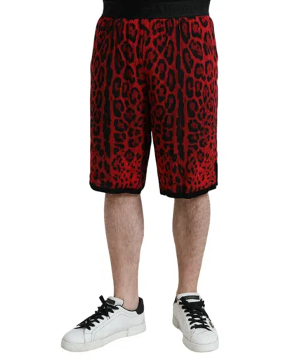 Shop Dolce & Gabbana Red Leopard Print Viscose Bermuda Shorts