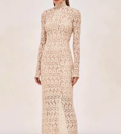 Shop Alexis Tafari Dress In Willow In Multi