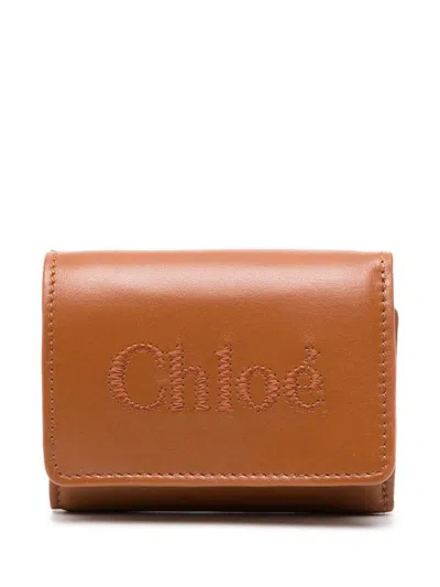 Shop Chloé Sense Leather Wallet In Brown