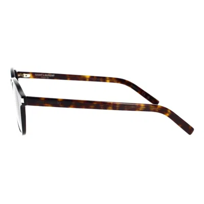 Saint Laurent Eyewear Sunglasses In Havana