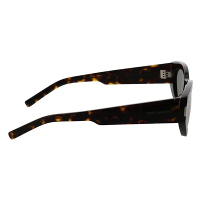 Saint Laurent Eyewear Sunglasses In Havana