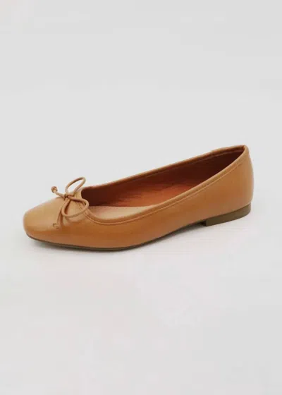 Shop Ccocci Women's Ballet Flats With Bow In Tan In Brown