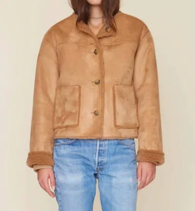 Shop Xirena Thayer Jacket In Driftwood In Brown