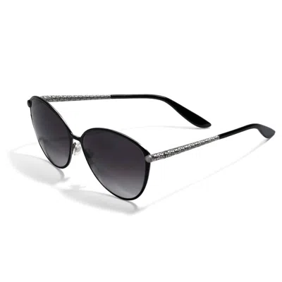 Shop Brighton Ferrara Gatta Sunglasses In Black