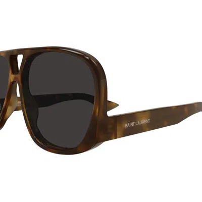 Shop Saint Laurent Eyewear Sunglasses In Havana