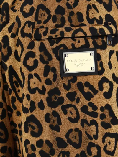 Shop Dolce & Gabbana Sweatshirts In Brown/black