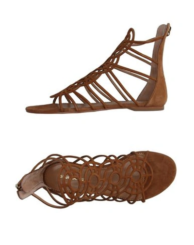 Shop Dsquared2 Sandals In Camel